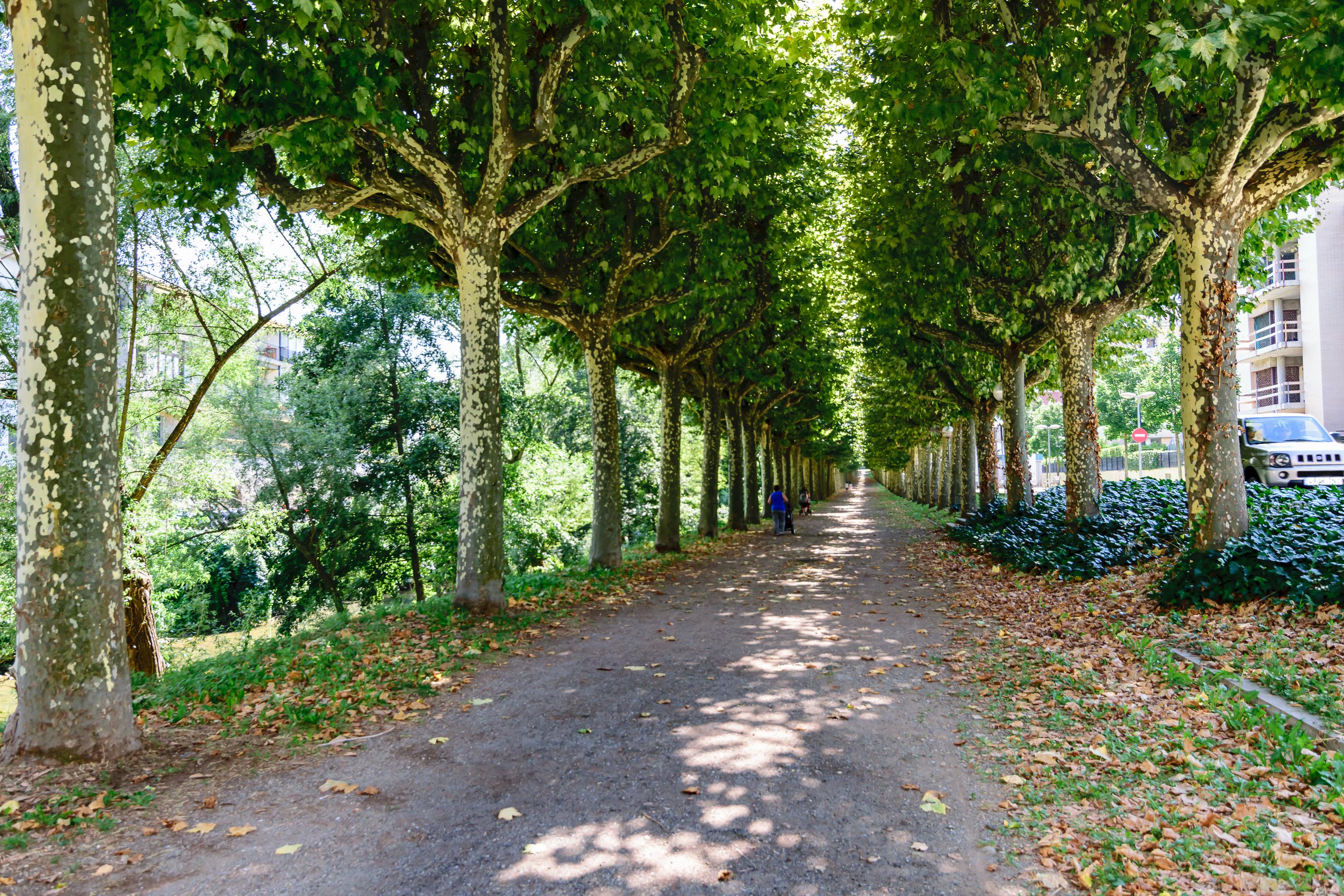 Hotel Estacio (Adults Only) Olot Zewnętrze zdjęcie